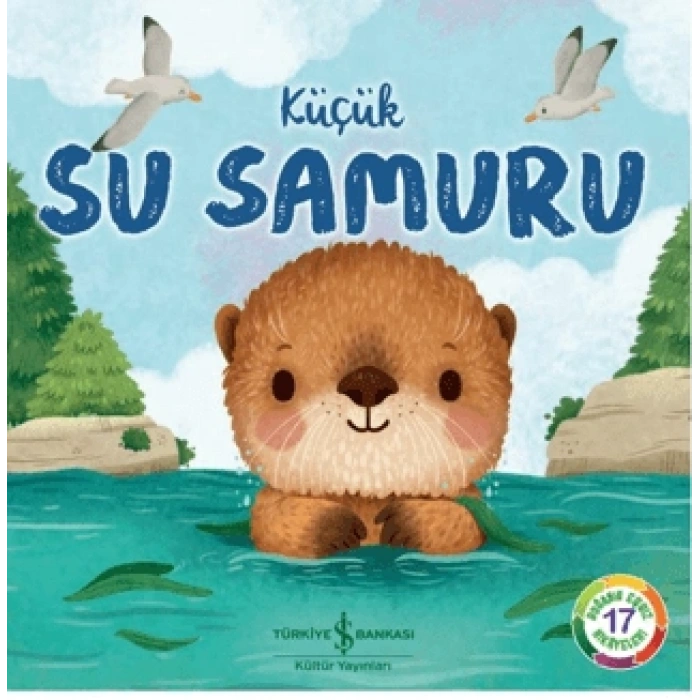 Küçük Su Samuru