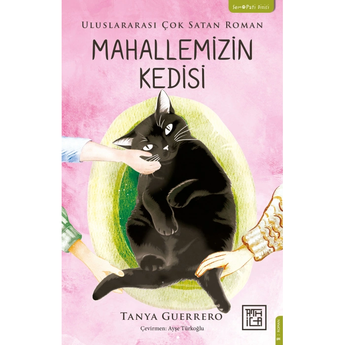 Mahallemizin Kedisi