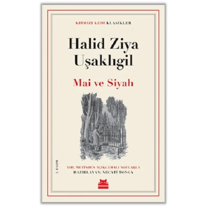 Mai ve Siyah