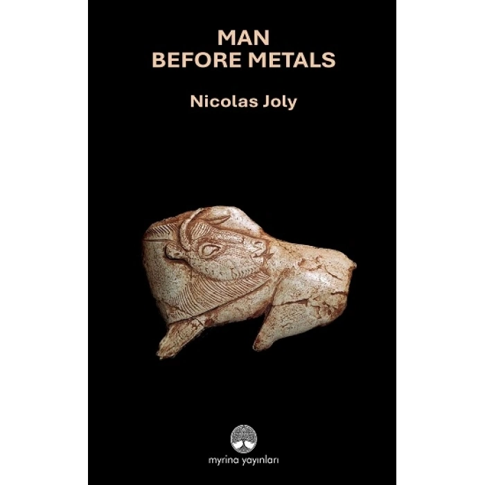 Man Before Metals