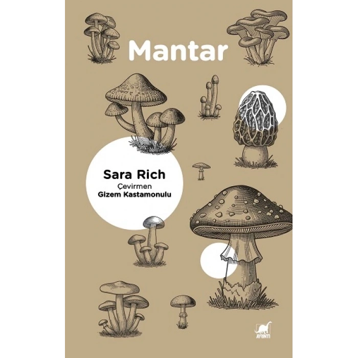 Mantar