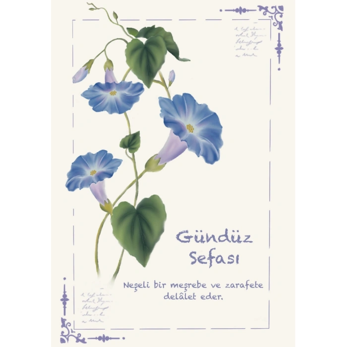 Gündüz Sefası / Kartpostal