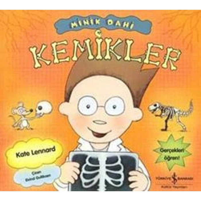 Minik Dahi Kemikler
