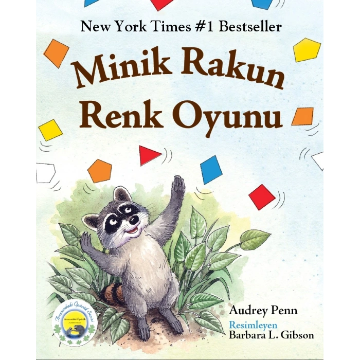 Minik Rakun Renk Oyunu