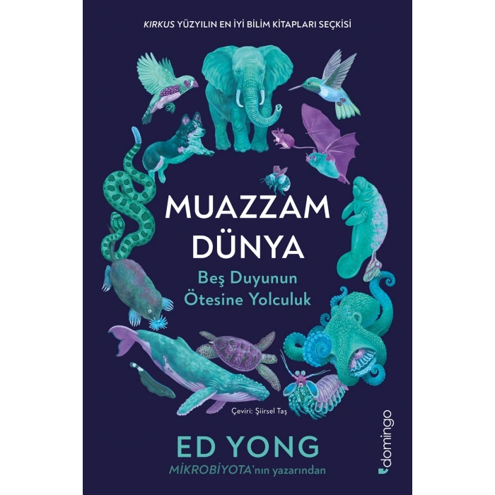 Muazzam Dünya