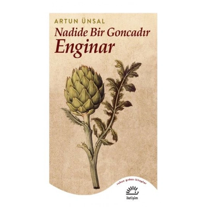Nadide Bir Goncadır Enginar