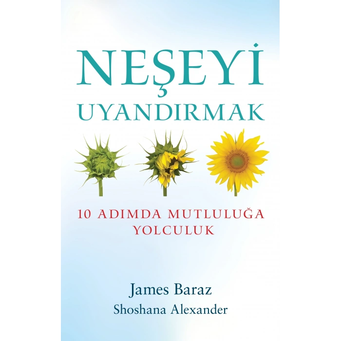 Neşeyi Uyandırmak
