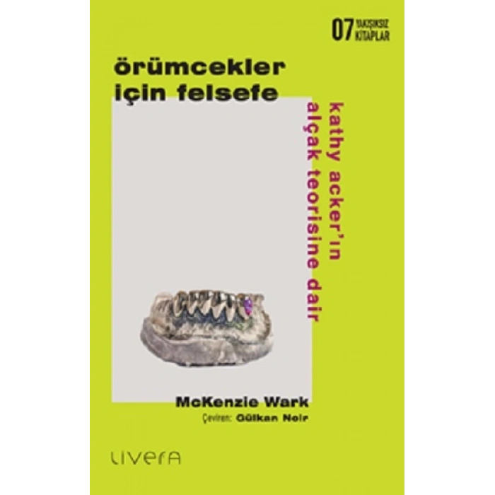 Örümcekler İçin Felsefe: Kathy Acker’ın Alçak Teorisine Dair