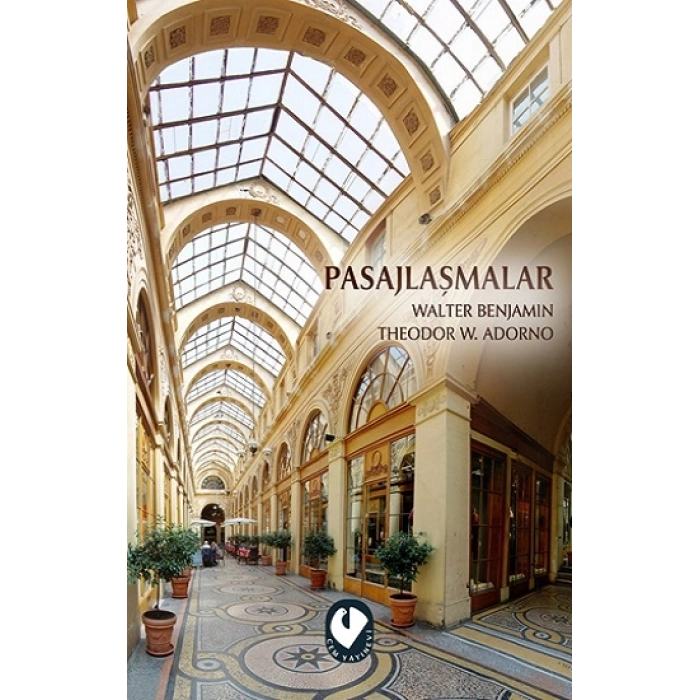 Pasajlaşmalar