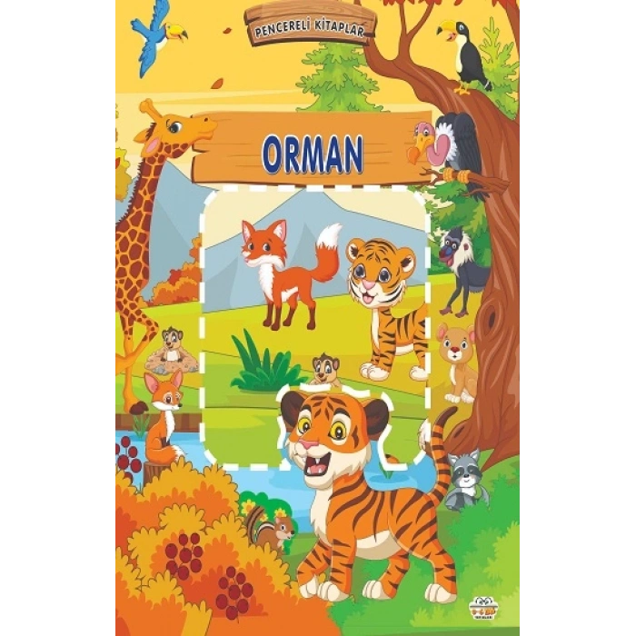 Pencereli Kitaplar Orman (Sıvama Cilt)