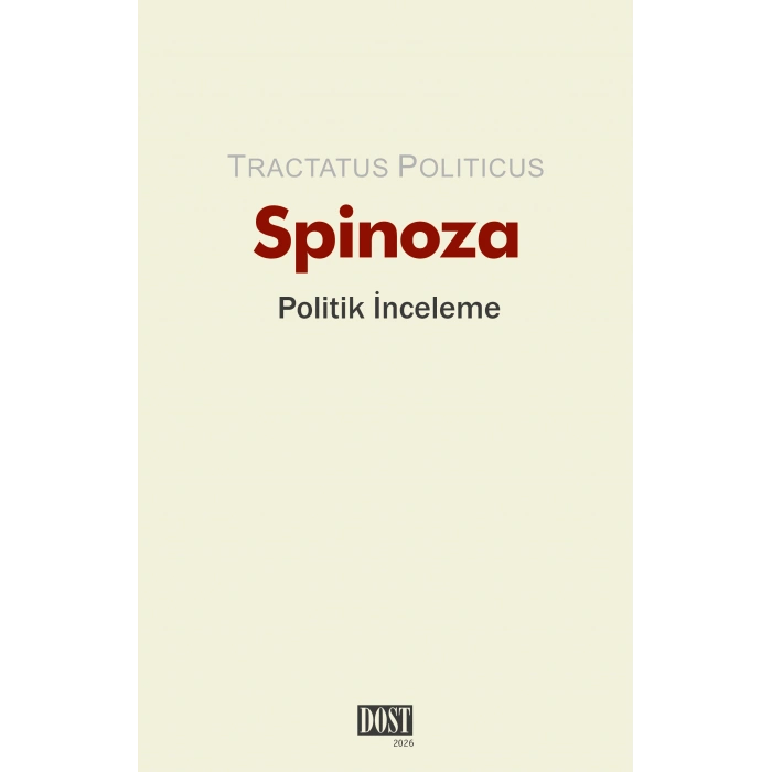 Politik İnceleme