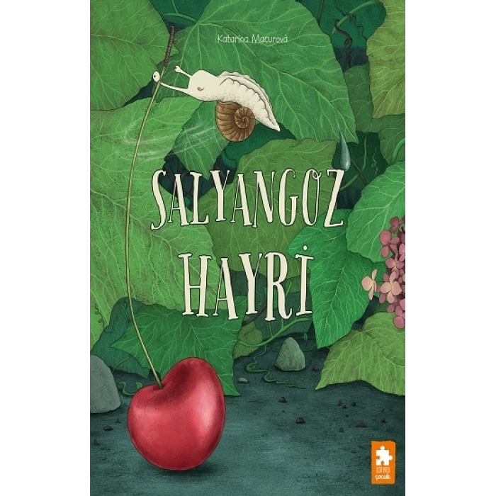 Salyangoz Hayri