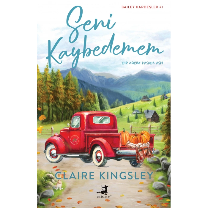 Seni Kaybedemem