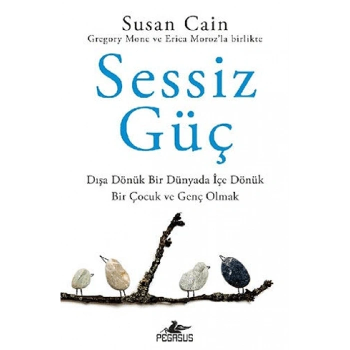 Sessiz Güç