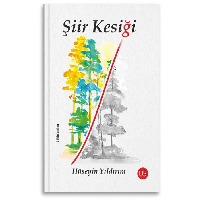 Şiir Kesiği