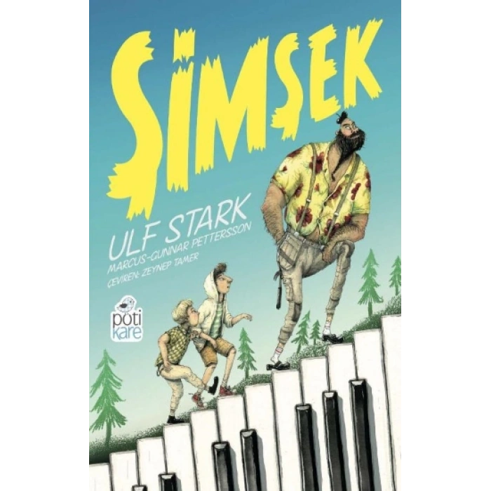 Şimşek