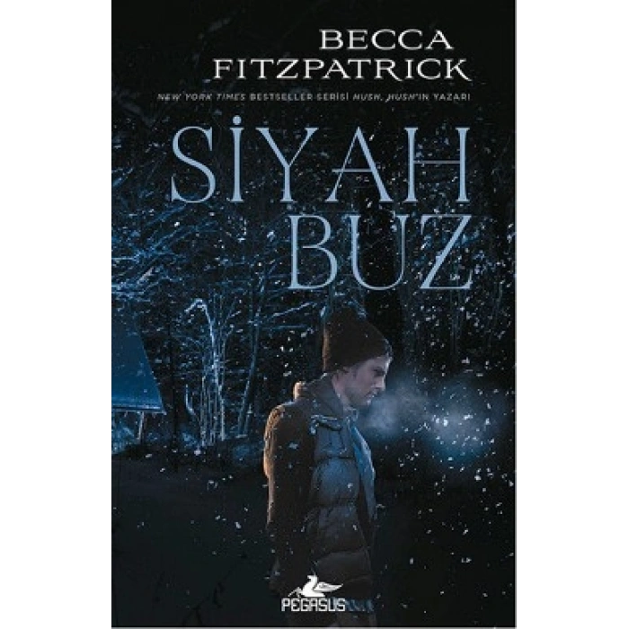 Siyah Buz