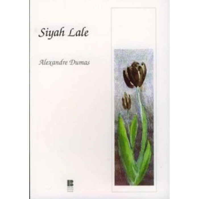 Siyah Lale