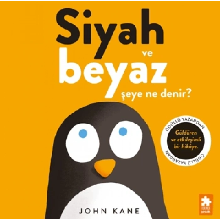 Siyah ve Beyaz Şeye Ne Denir?