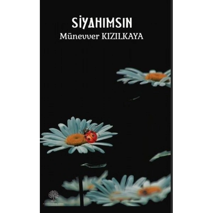 Siyahımsın