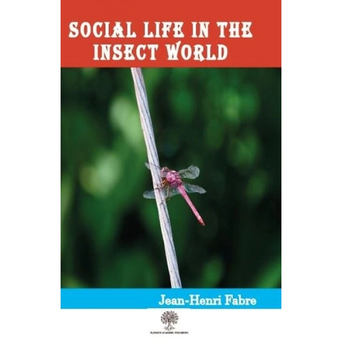 Social Life in the Insect World