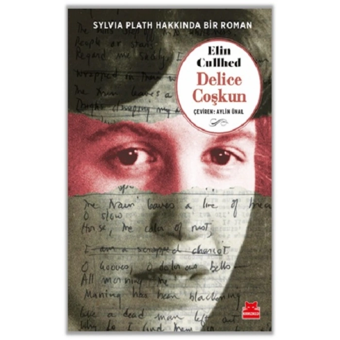 Sylvia Plath Hakkında Bir Roman
