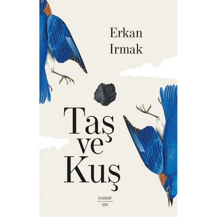 Taş ve Kuş