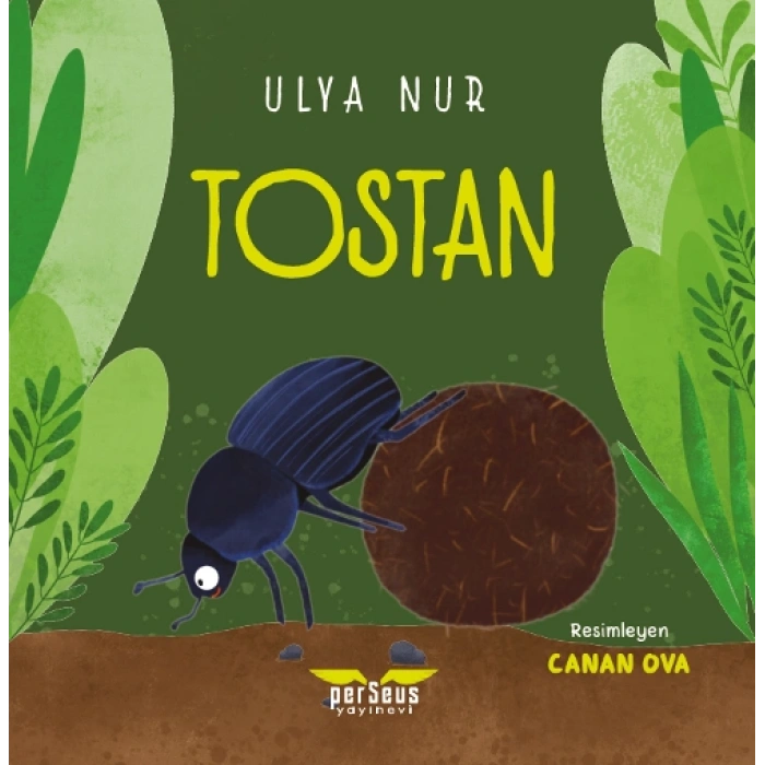 Tostan