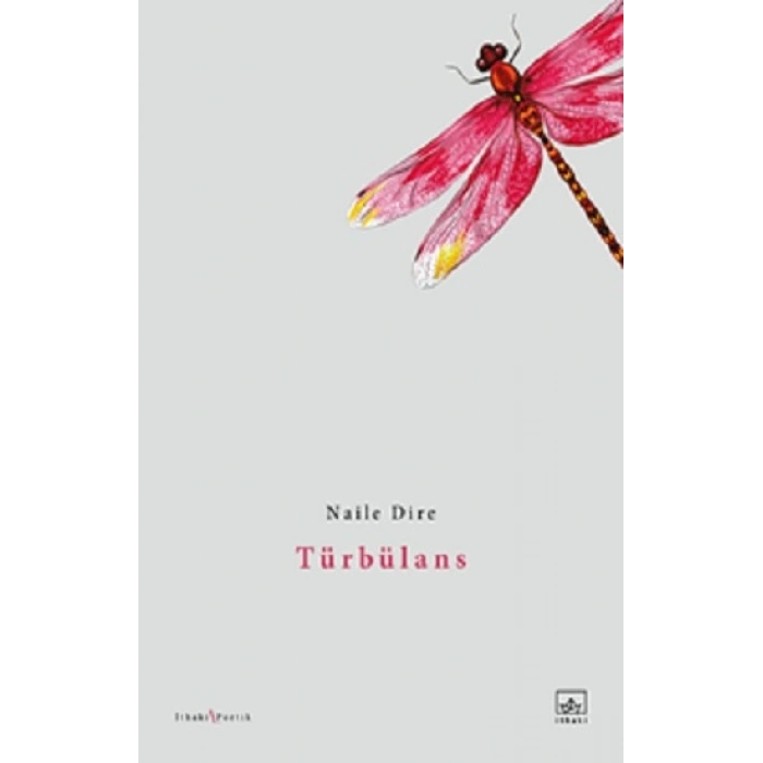 Türbülans