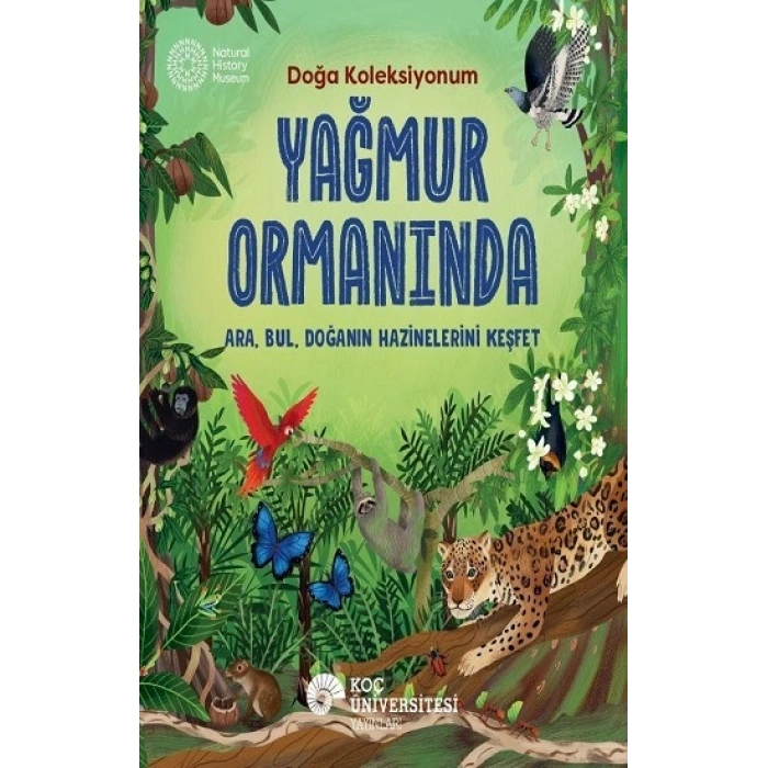 Yağmur Ormanında Doğa Koleksiyonum