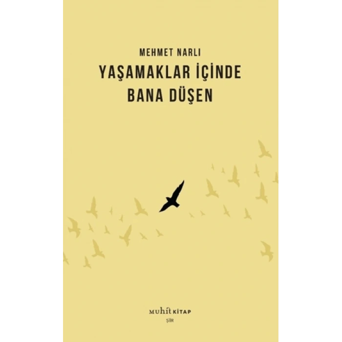 Yaşamaklar İçinde Bana Düşen