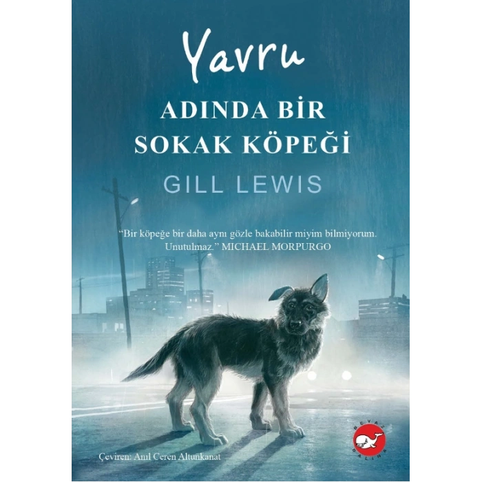 Yavru Adında Bir Sokak Köpeği