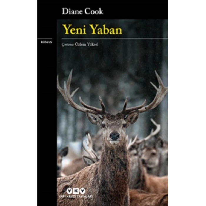 Yeni Yaban