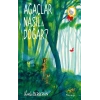 Ağaçlar Nasıl Doğar?