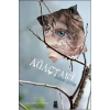 Ağaçtaki