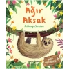 Ağır Aksak