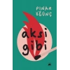 Aksi Gibi