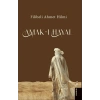 Amak-ı Hayal