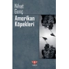 Amerikan Köpekleri