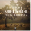 Anadolu Kareli Öyküler