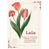 Lale / Kartpostal