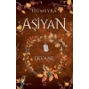 Aşiyan 2 -Divane (Ciltli)