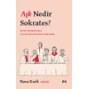 Aşk Nedir Sokrates?