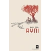Aynı