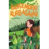 Bahçemdeki Kurbağalar
