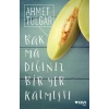 Bakmadığınız Bir Yer Kalmıştı