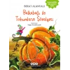 Balkabağı ile Tohumların Şövalyesi