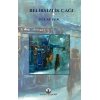 Belirsizlik Çağı