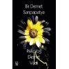 Bir Demet Sarıpapatya