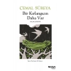 Bir Kırlangıcın Daha Var